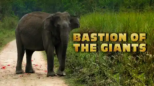 Bastion of The Giants