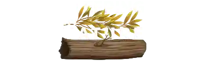 Sleeping in Nature