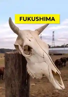 Fukushima
