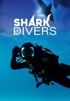 Shark Divers