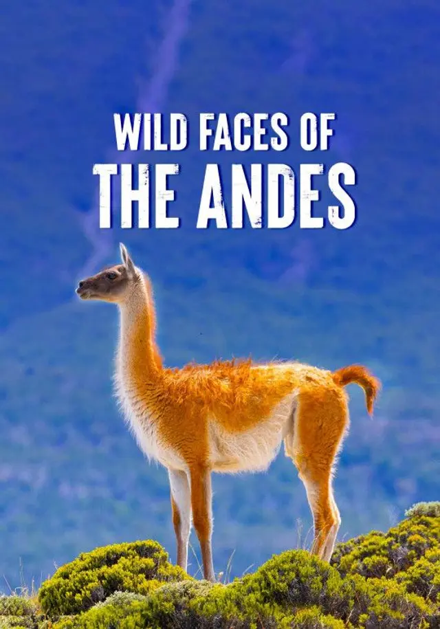 Wild Faces of the Andes