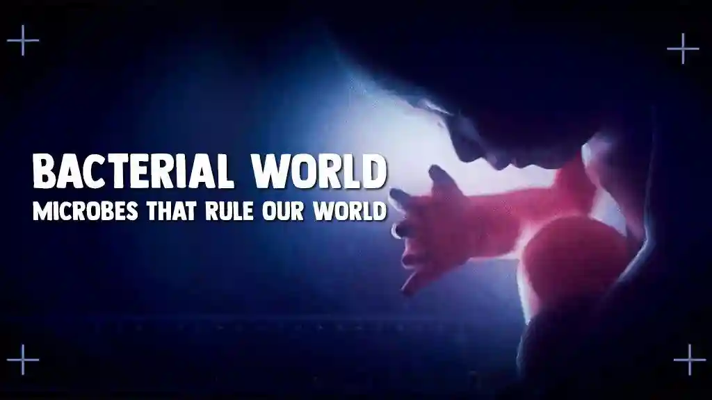 Bacterial World - Microbes That Rule Our World