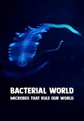 Bacterial World - Microbes That Rule Our World