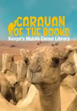 Caravan of the Books: Kenya's Mobile Camel Library