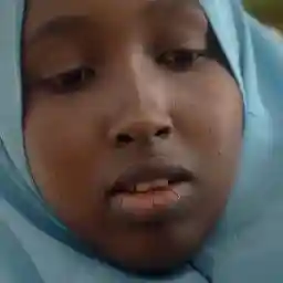 Caravan of the Books: Kenya's Mobile Camel Library