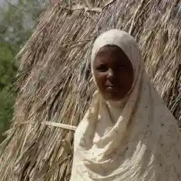 Caravan of the Books: Kenya's Mobile Camel Library