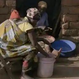 The Food Race - Pesticides, GMOs and Organic Farming on the test