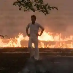 The Food Race - Pesticides, GMOs and Organic Farming on the test