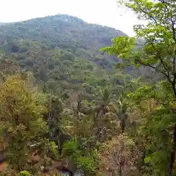 The Food Race - Pesticides, GMOs and Organic Farming on the test