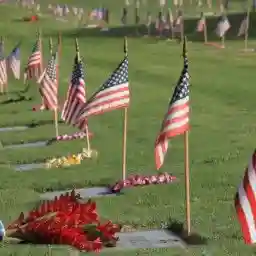 Remember Pearl Harbor (Narrated by Tom Selleck)