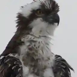 The Canary Islands - In the shadows of volcanoes