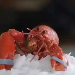 Shellfish: From The Sea To Our Plates