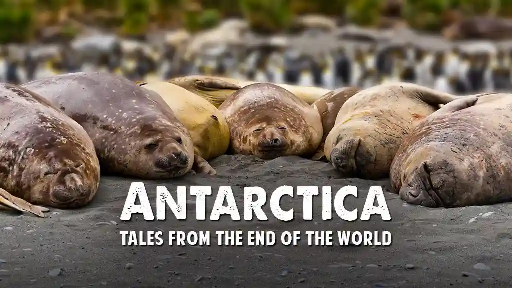 ANTARCTICA - TALES FROM THE END OF THE WORLD