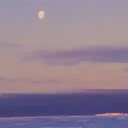 ANTARCTICA - TALES FROM THE END OF THE WORLD