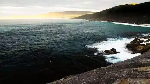 E8. AUSTRALIA AND NEW ZEALAND