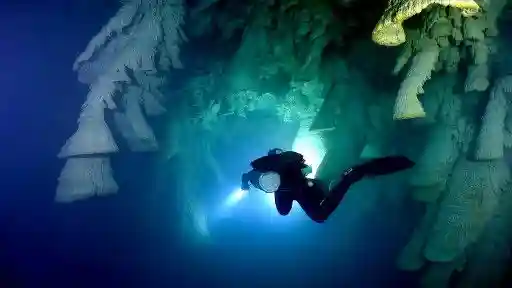 E2. Guided By An Angel Shark