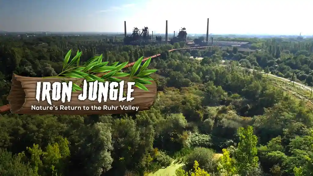 Iron Jungle - Nature's Return to the Ruhr Valley
