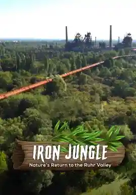 Iron Jungle - Nature's Return to the Ruhr Valley
