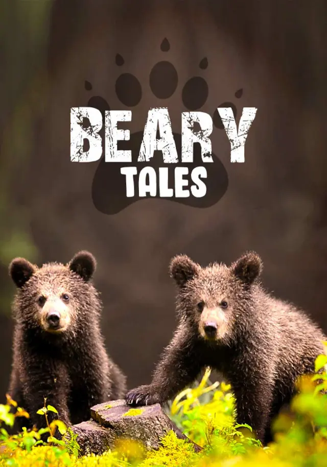 Beary Tales