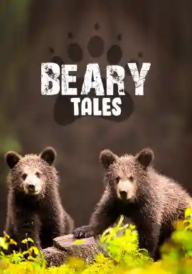Beary Tales
