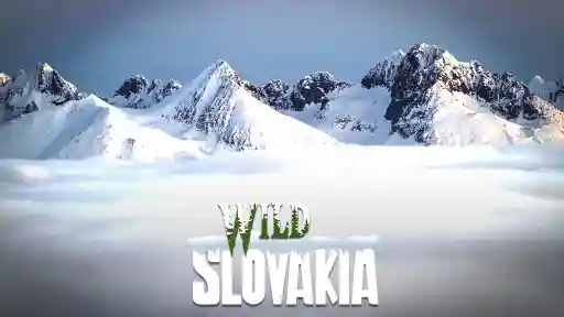 Wild Slovakia