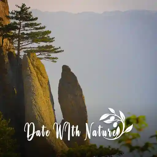 Date with Nature