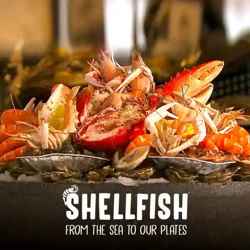 Shellfish: From The Sea To Our Plates