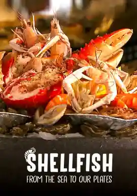 Shellfish: From The Sea To Our Plates