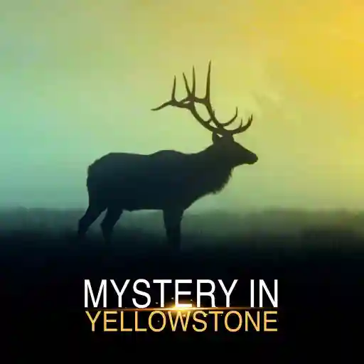 Mystery in Yellowstone