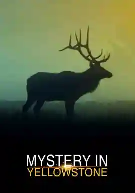 Mystery in Yellowstone