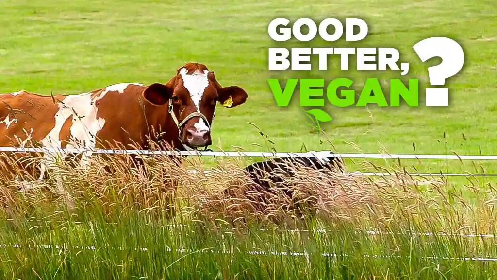 Good Better, Vegan?