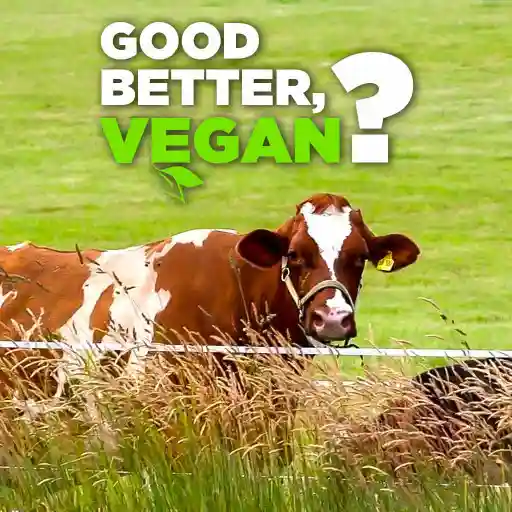 Good Better, Vegan?