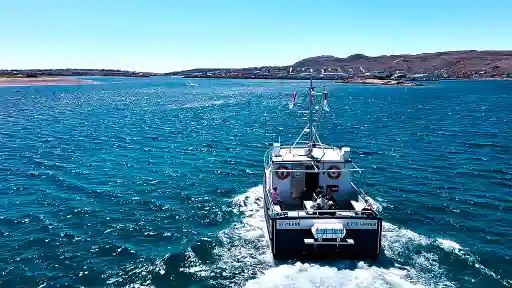 E6. ST-PIERRE-ET-MIQUELON