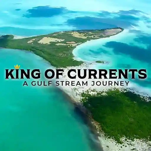 King of Currents - A Gulf Stream Journey