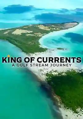 King of Currents - A Gulf Stream Journey