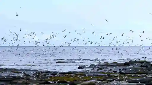 E2. From The Azores To The Arctic Circle