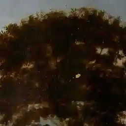 LEONARDO DA VINCI, THE RESTORATION OF THE CENTURY