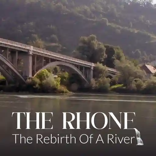 THE RHONE, THE REBIRTH OF A RIVER