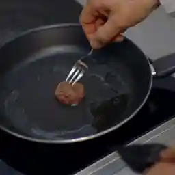 WILL WE SOON BE EATING IN VITRO MEAT?