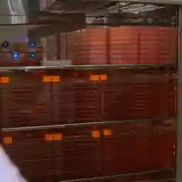 WILL WE SOON BE EATING IN VITRO MEAT?