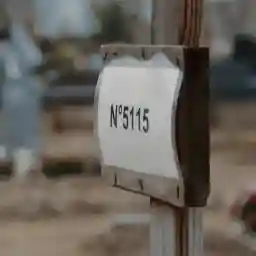 Calais Children: A Case To Answer