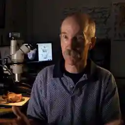 The Mystery Of The Pink Dolphin