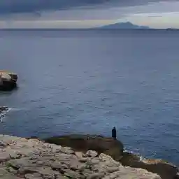 1917: The Making Of A Revolution