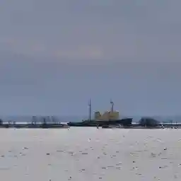 1917: The Making Of A Revolution