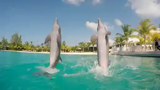 E3.Grand Cayman & Toledo