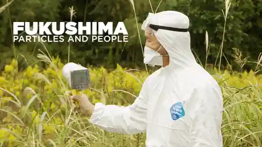 Fukushima: Particles and People