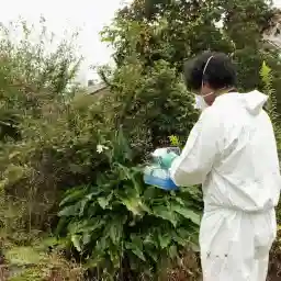 Fukushima: Particles and People