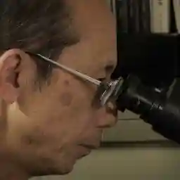 Fukushima: Particles and People