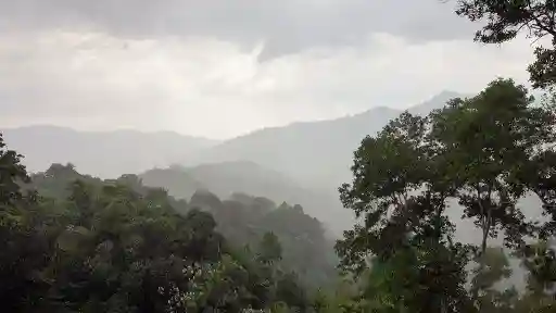 E3. Nature's Force Episode 3