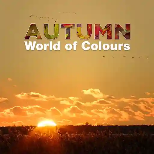 Autumn - World of Colours